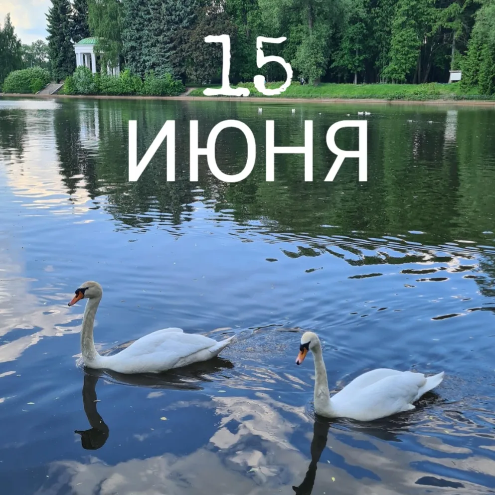 🦢 15 ИЮНЯ - ПОСЛЕДНИЙ ДЕНЬ ДЛЯ ОПЛАТЫ КВИТАНЦИЙ ЗА МАЙ 2026!

⏱ Оплатите счета за пару минут без ко
