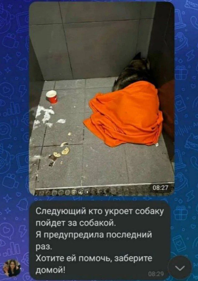 Помните февральскую жуткую историю со счастливым концом, когда курьер «Додо Пиццы» Миха...