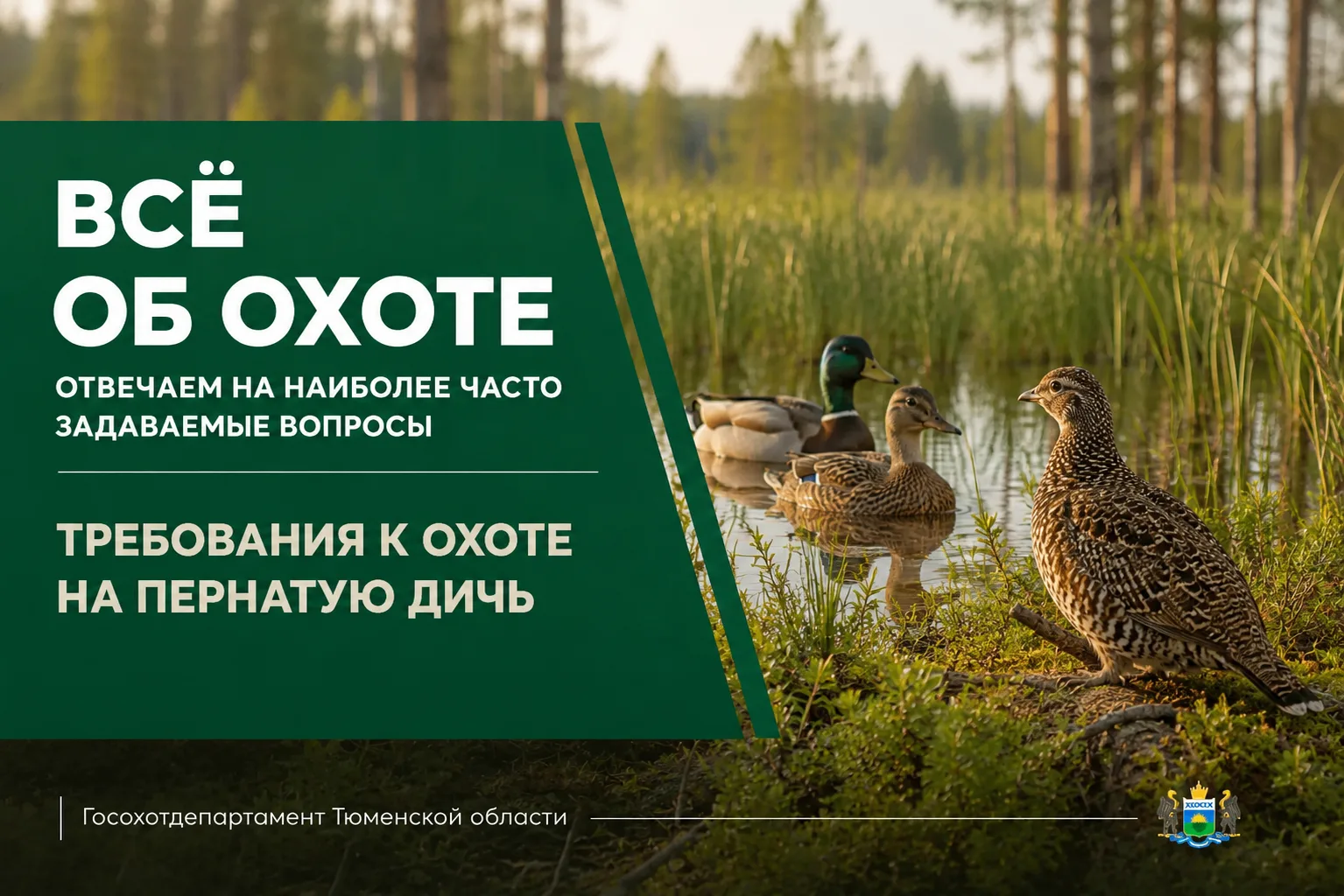 📌 Всё об охоте: отвечаем на наиболее часто задаваемые вопросы
