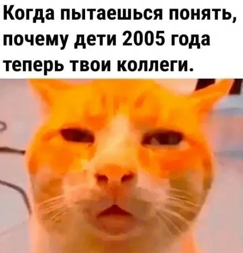 Найдем работу каждому зумеру! Приходите в кадровые центры 😉