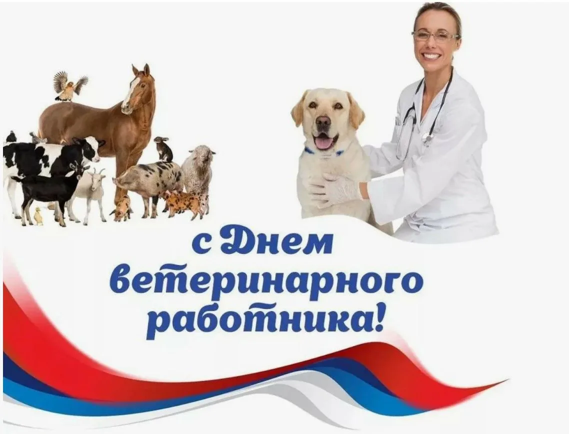 Уважаемые коллеги, дорогие друзья!