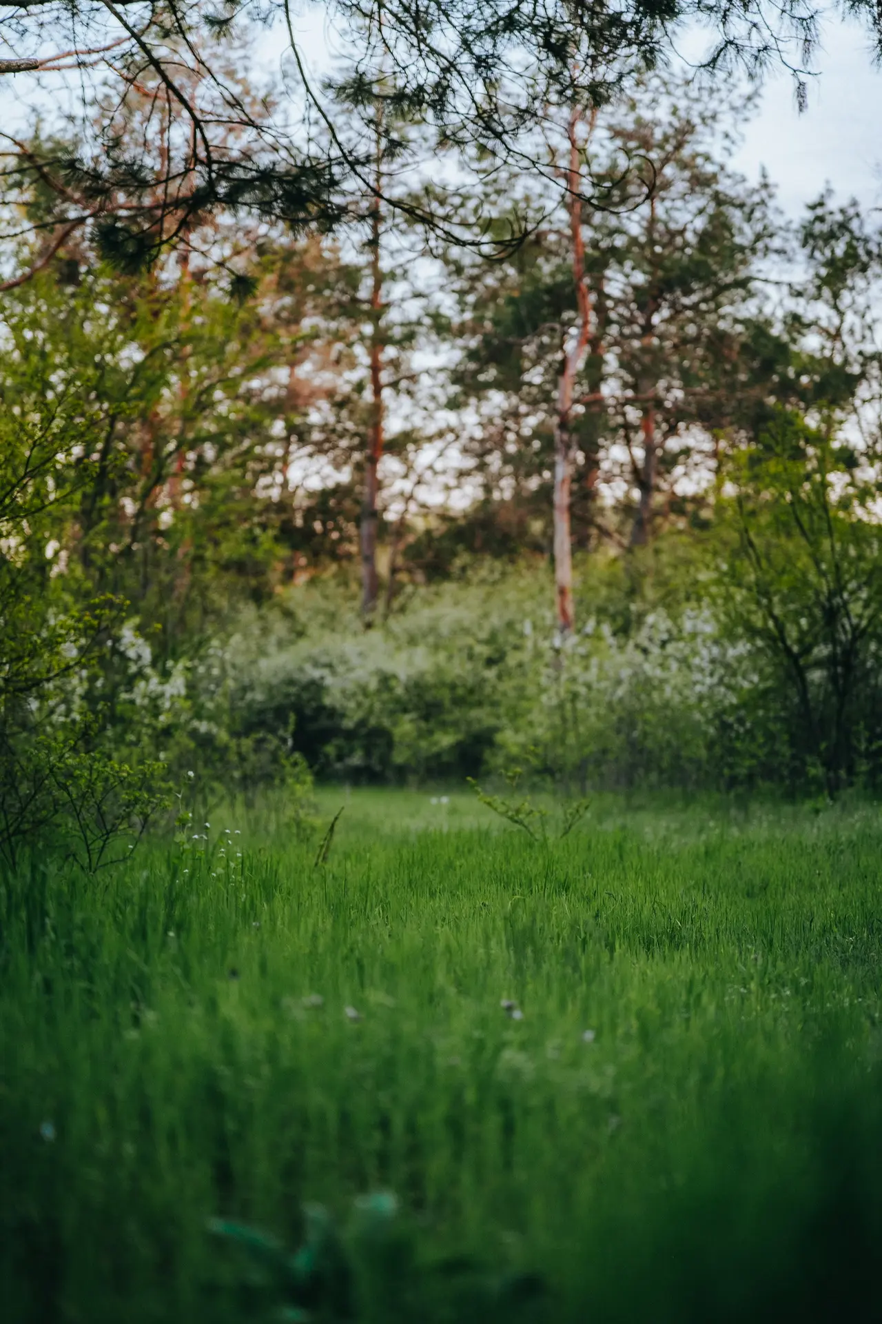 Весна. Семикаракорск.  Отличное время для прогулок 🌸🌼  💬 Главный чат Семикаракорска
