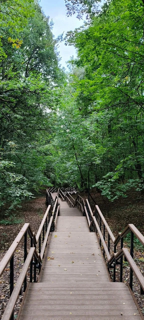 🌿 Парк «Крылатские холмы» — место, где можно немного выдохнуть от города.
