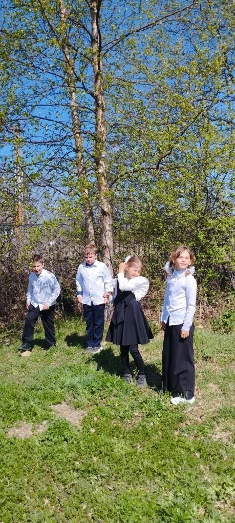 🌲 В гости к природе