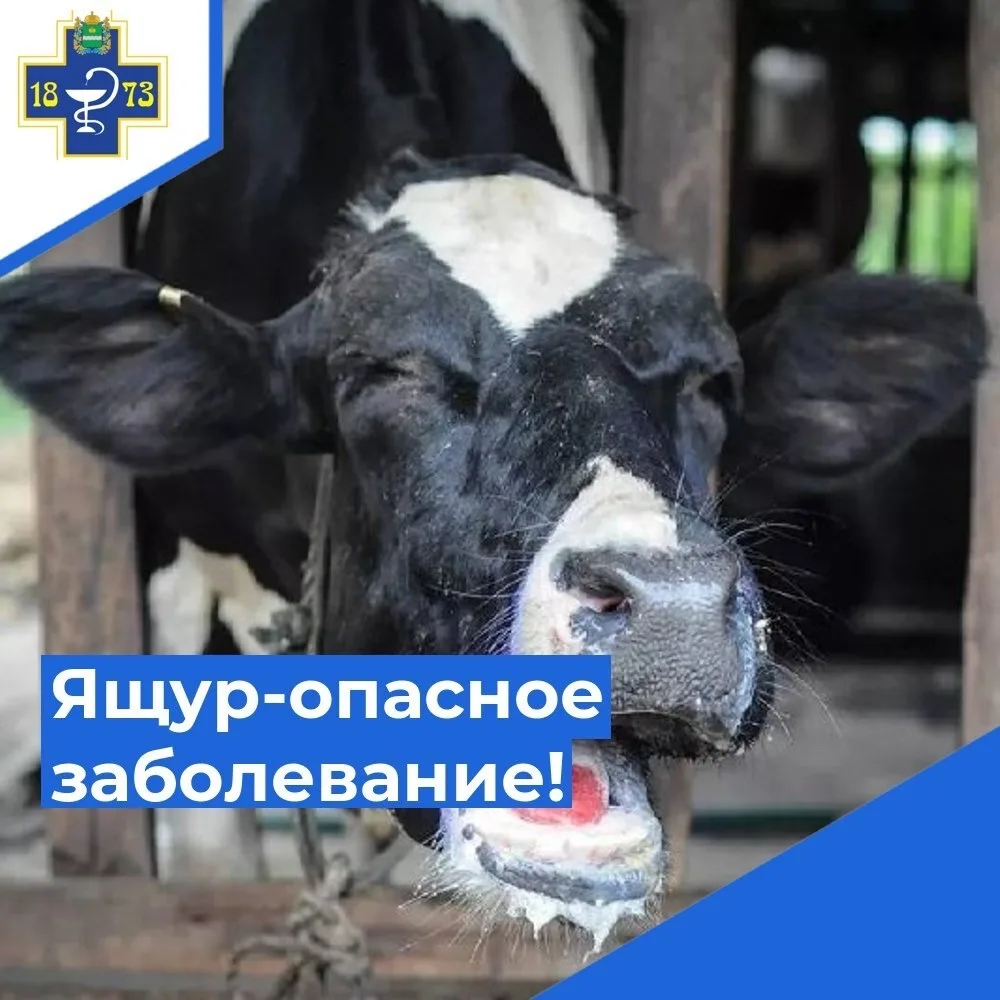 📌ПАМЯТКА ДЛЯ НАСЕЛЕНИЯ