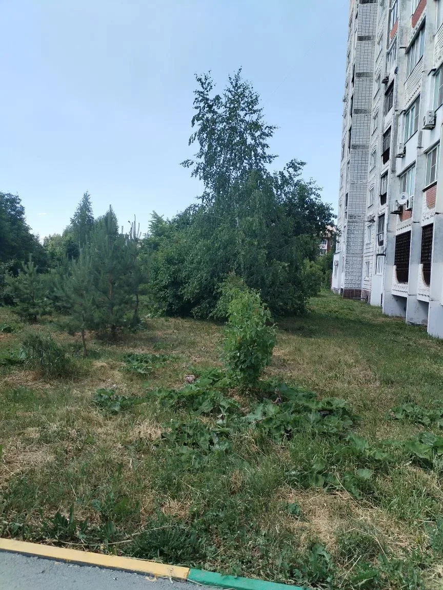 🏡 О выполненных работах по благоустройству 11.06.2026 Городской переулок 29