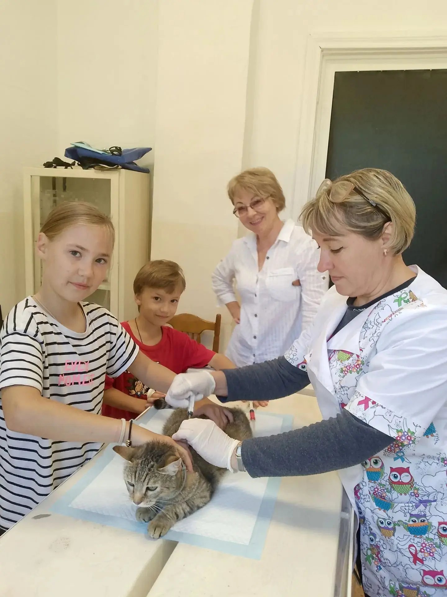 Наши пациенты 🐾
