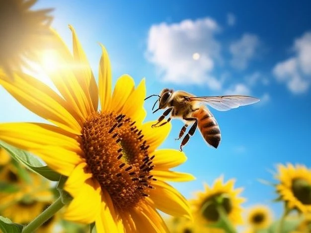 🐝 Цифровой щит для улья: как «Портал пчеловода» помогает защищать пасеки