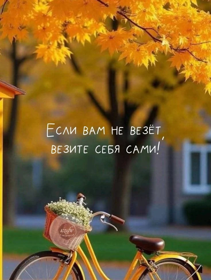 Доброго дня