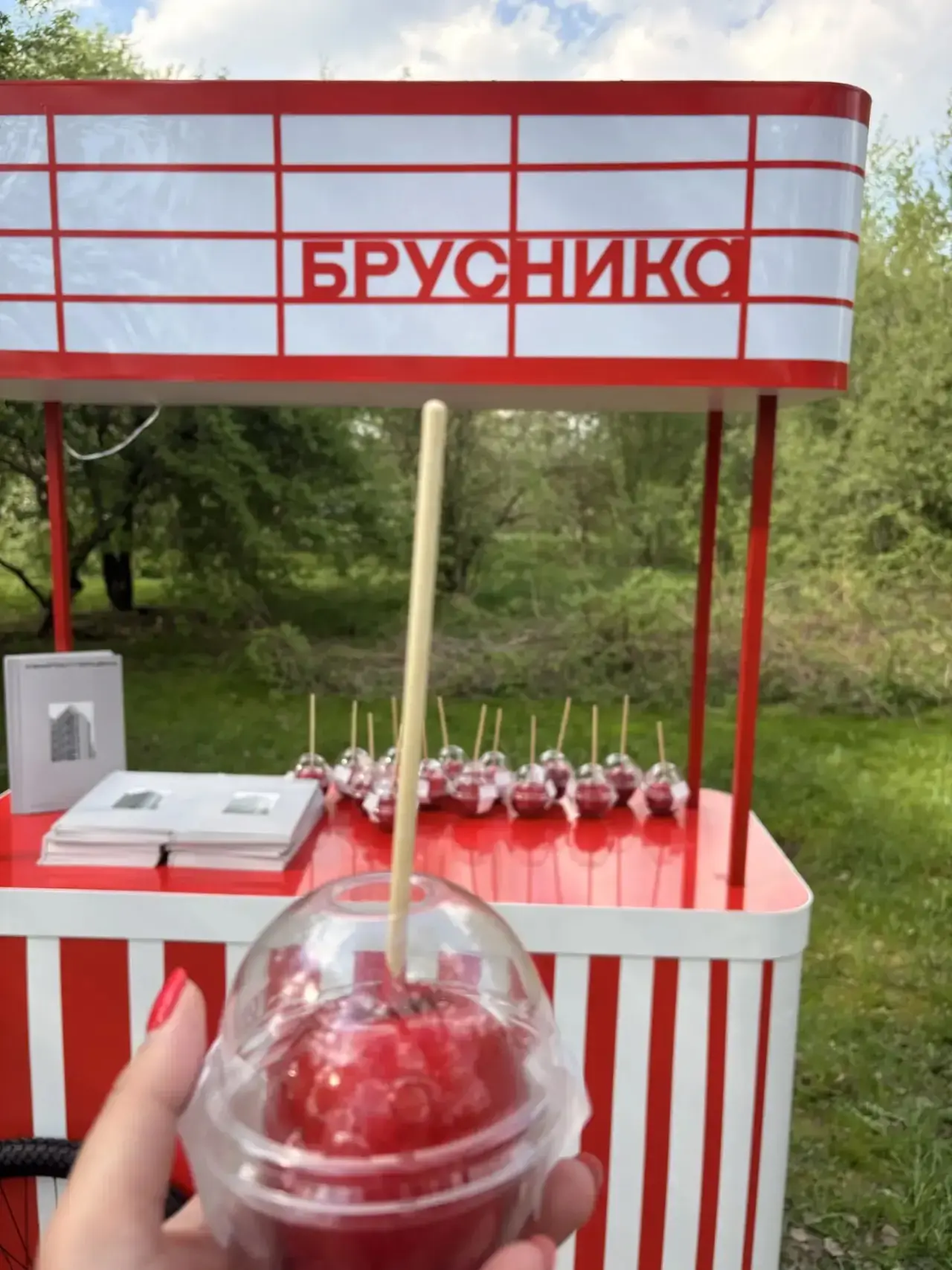 «Брусника» — крупная девелоперская компания, специализируется на строительстве жилых мн...