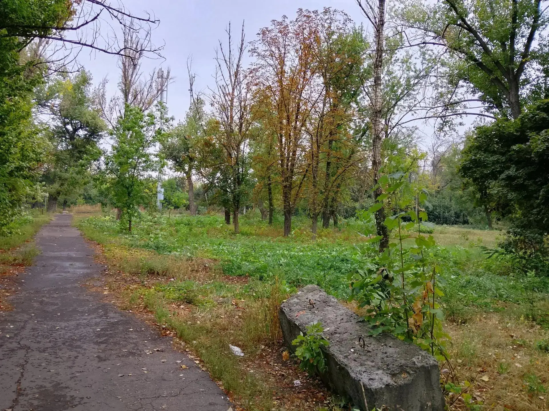 Сегодня, 15 сентября, в Кировском внутригородском районе города Макеевки силами МУП АГМ...