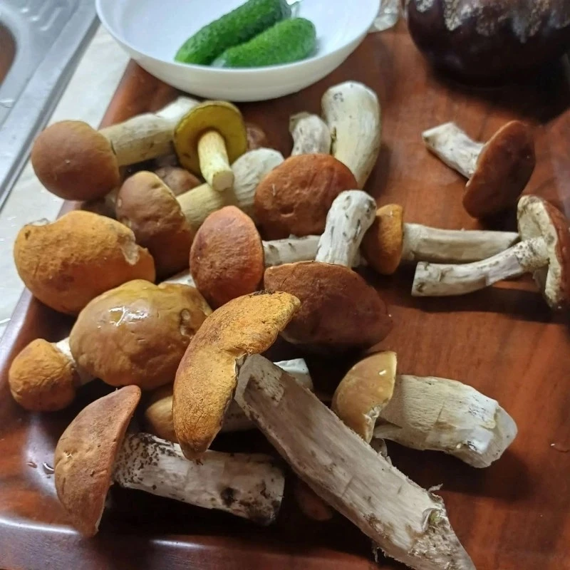 🍄‍🟫Белые грибы и морошка: жители Сургутского района делятся урожаем