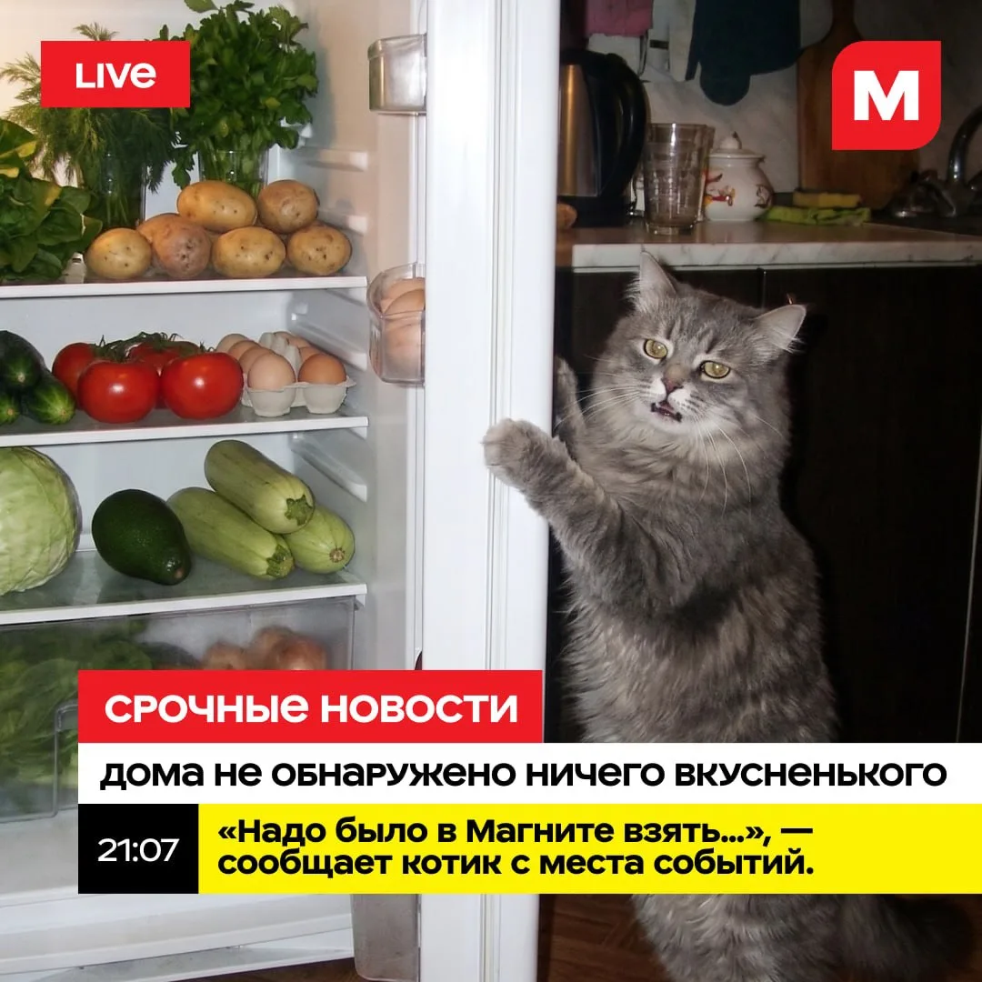 Изображение 1 к публикации «Магнит»