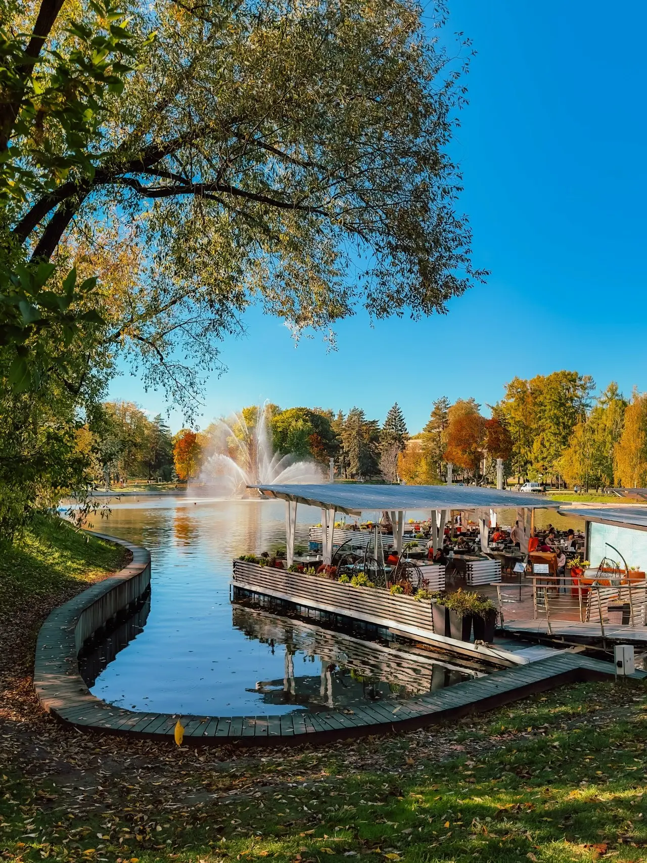 Осень прекрасное время года 🍂