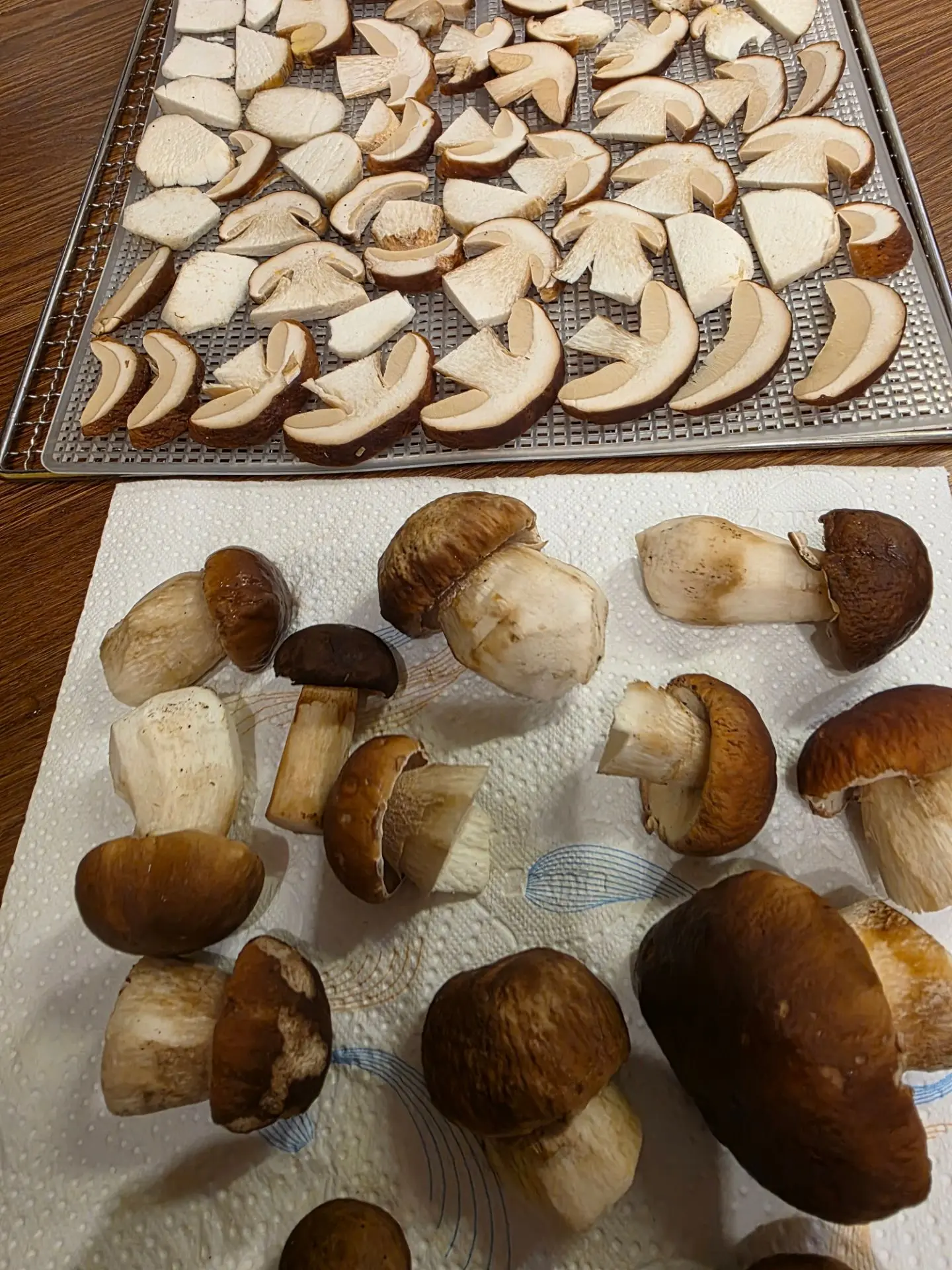 "Отдохну на работе" называется))) Варила, сушила, морозила🍄‍🟫🍄‍🟫🍄‍🟫