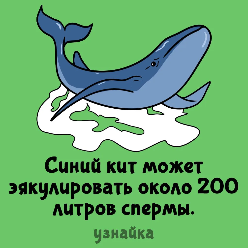 Все морские животные, которые проплывали мимо: 😐
