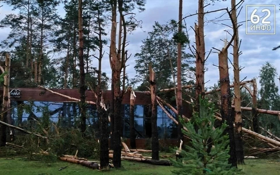 🌪 В селе Дубровичи (Рязанская область) у озера прошел смерч, поваливший деревья. На ме...
