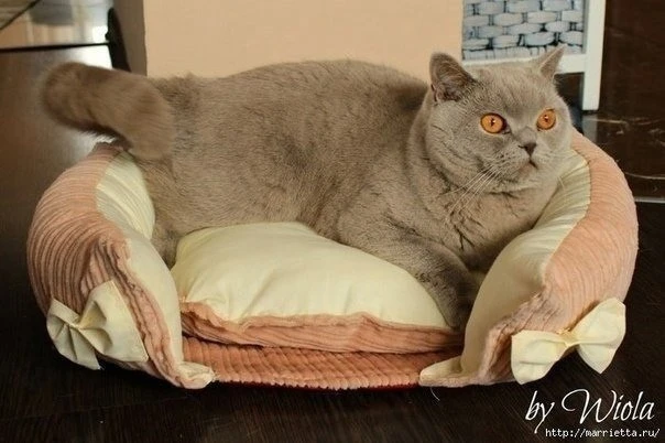 Κpoвaткa для кoшки: мacтep-клacc