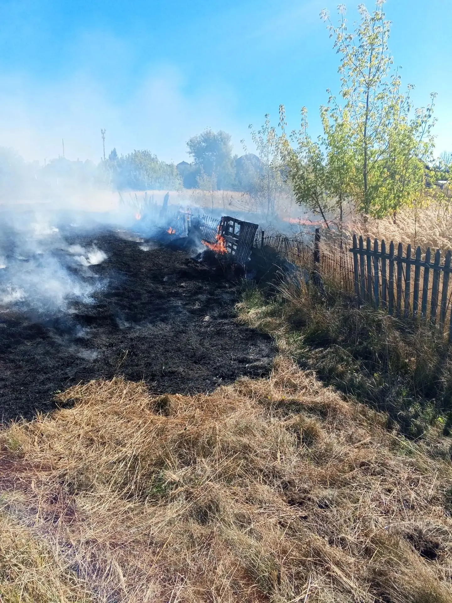 Горение двух очагов горения сухой травы ликвидировано в Октябрьском районе