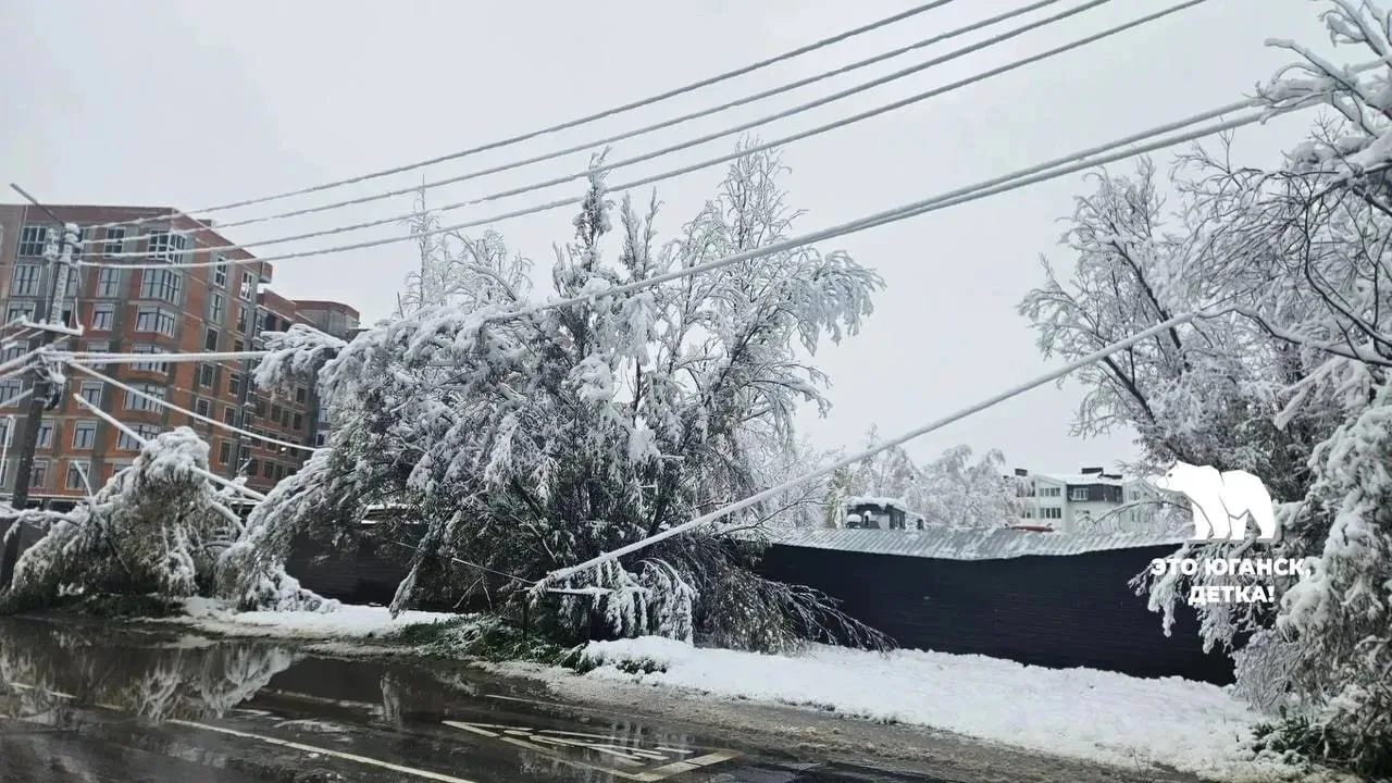 🌨 Ущерб от непогоды в ХМАО.