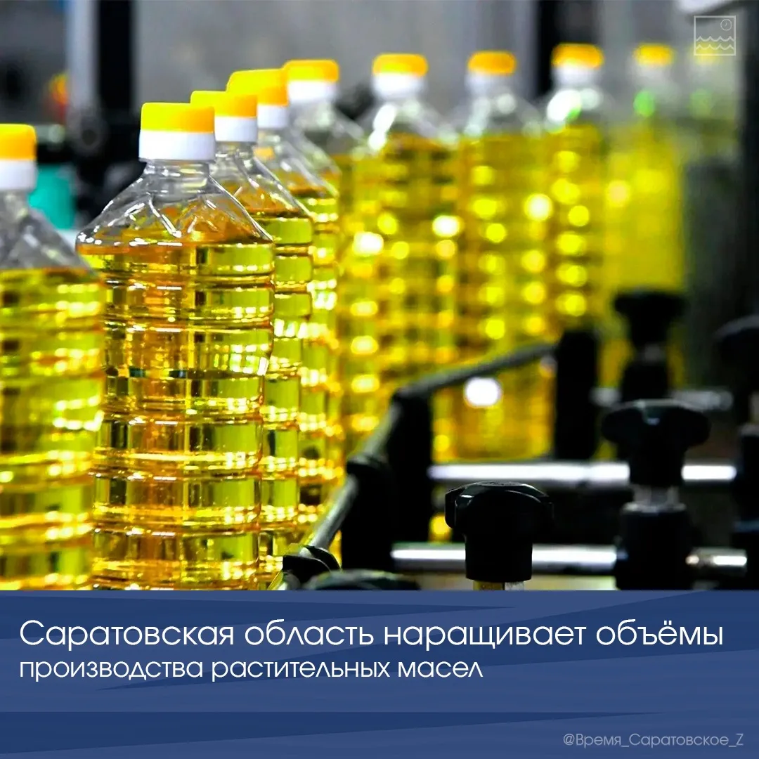 🌻 Саратовская область наращивает объемы производства растительных масел