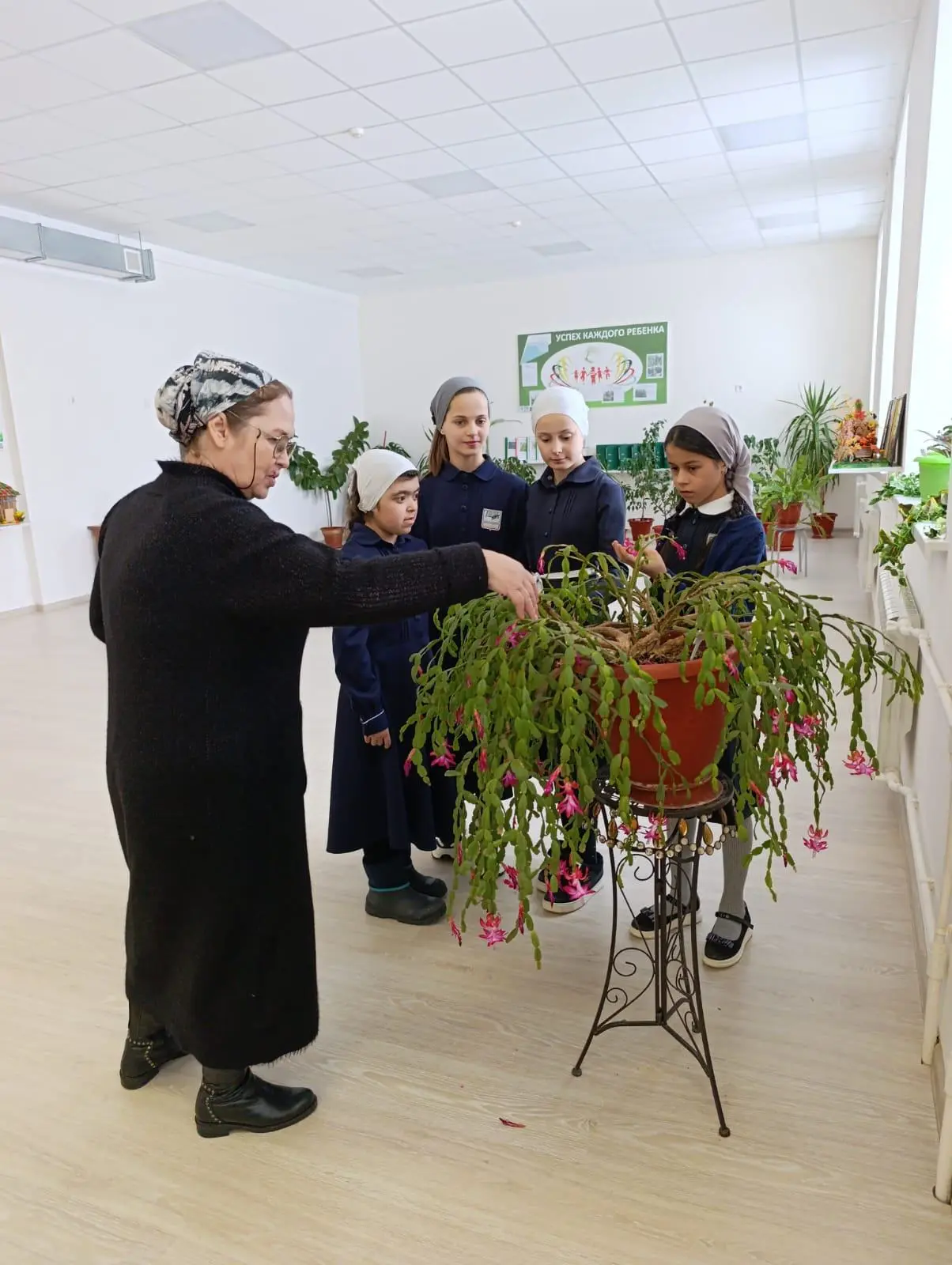 «Секреты зеленого подоконника»