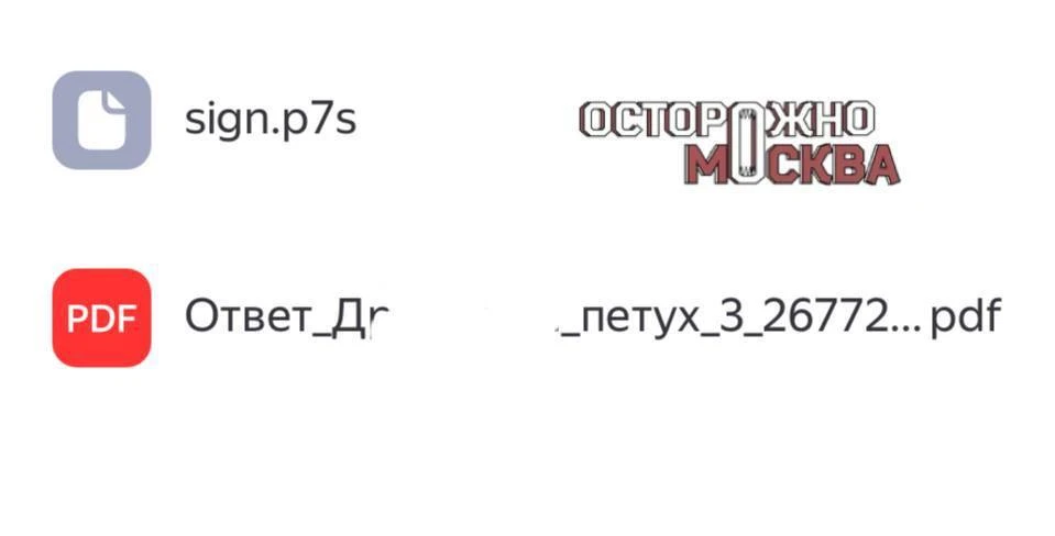 МВД прислало москвичу ответ на жалобу, назвав файл его фамилией и словом «петух»