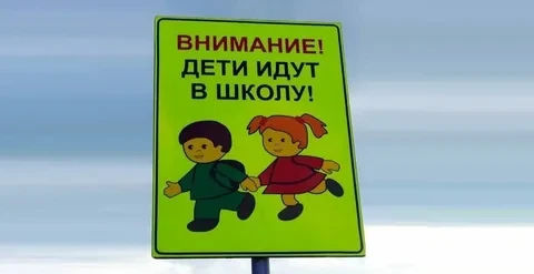 С 24 августа по 11 сентября на территории Кочубеевского муниципального округа проходит ...