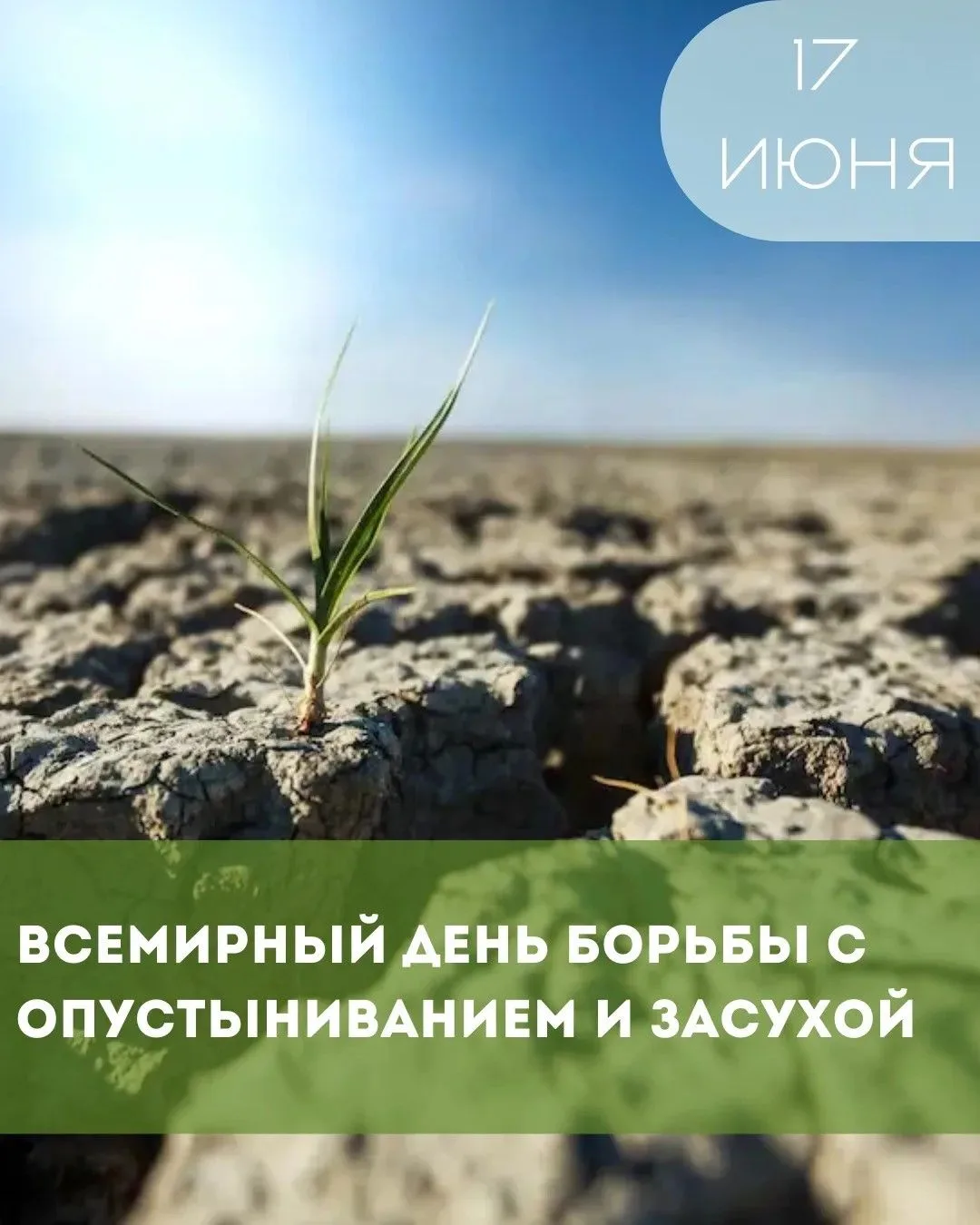 17 июня — Всемирный день борьбы с опустыниванием и засухой: взгляд из Приамурья

Сегодня, 17 июня, о