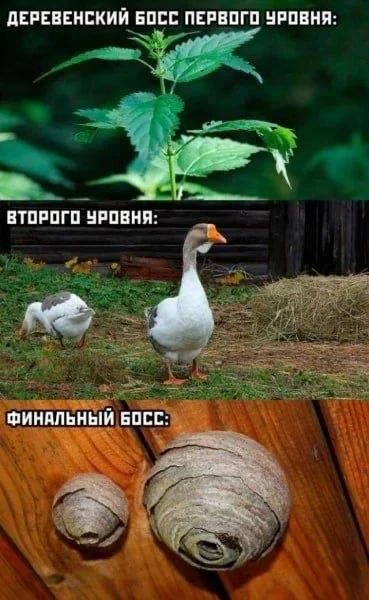 Подпишись на юмор 😂