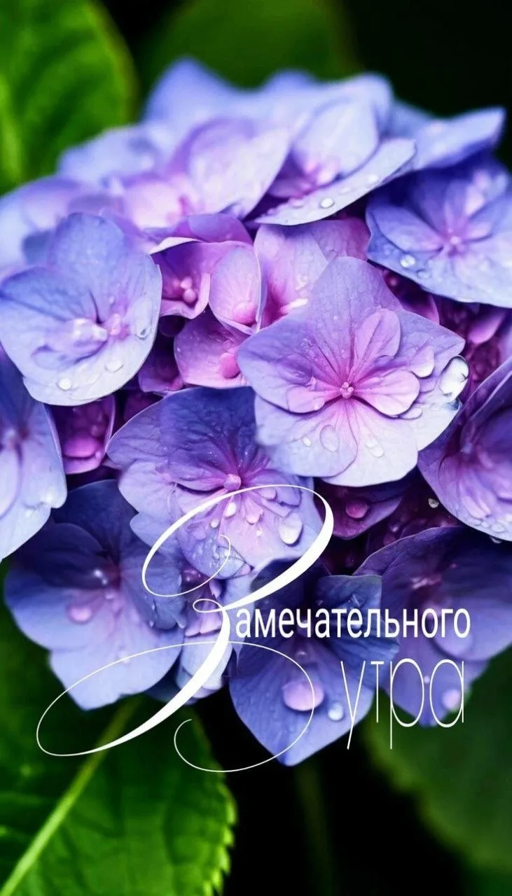 Делитесь открыткой с друзьями и поддерживайте реакцией 😍

Твои открытки - подписаться