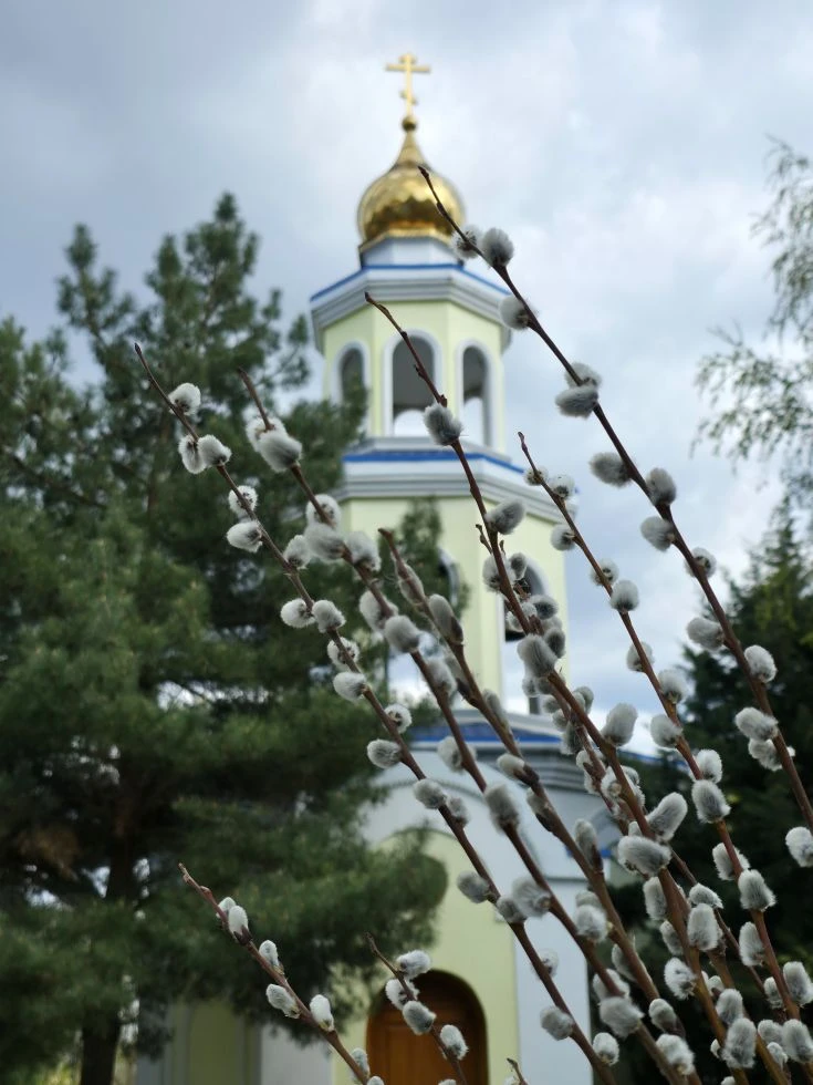 С Вербным Воскресеньем!