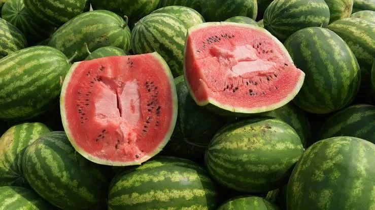 🍉 Арбузный сезон официально начнется в Питере 1 августа.

По всему городу откроется более 80 точек 