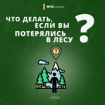 Правила безопасности при посещении лесных массивов