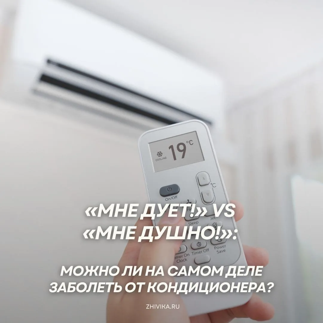 «Мне дует!» или «Мне душно!» — почему кондиционер становится причиной споров каждое лет...