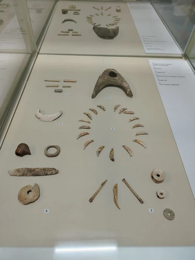 Украшения древних 🐚

В витринах выставочного зала расположились предметы труда, украшения, людей, ж