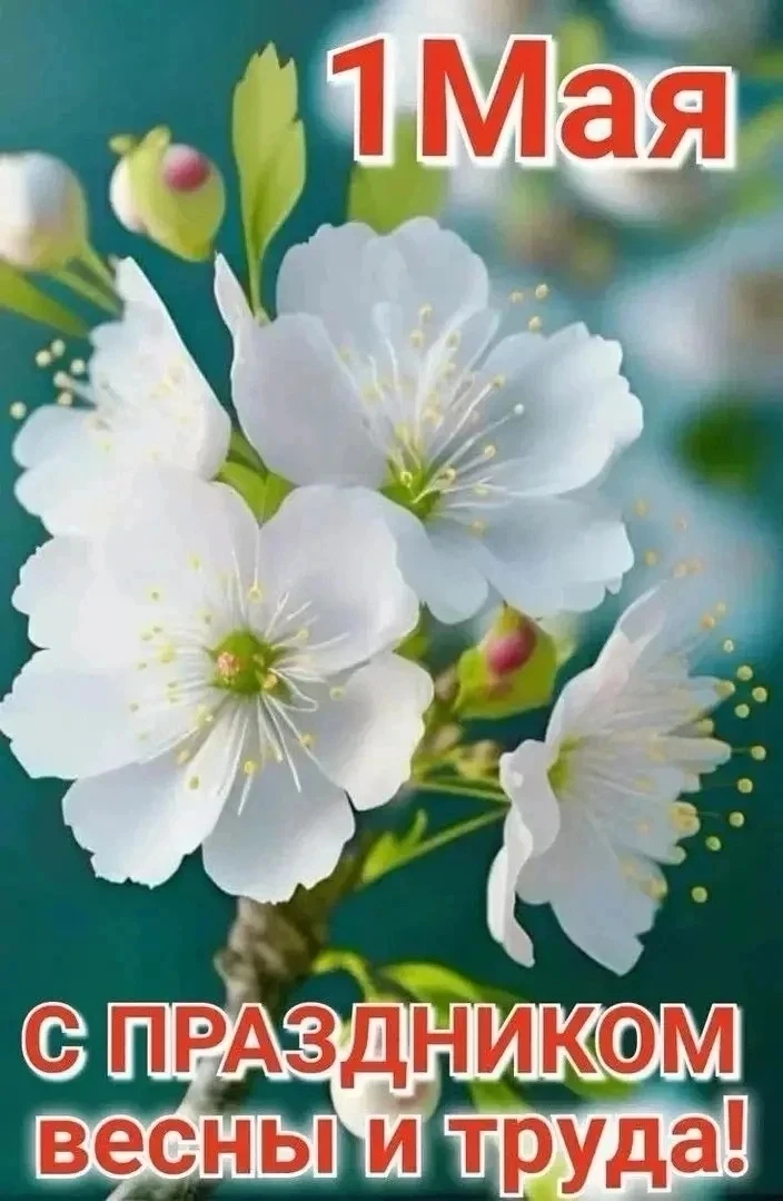 🌷 С Днём Весны и Труда, дорогие родители!