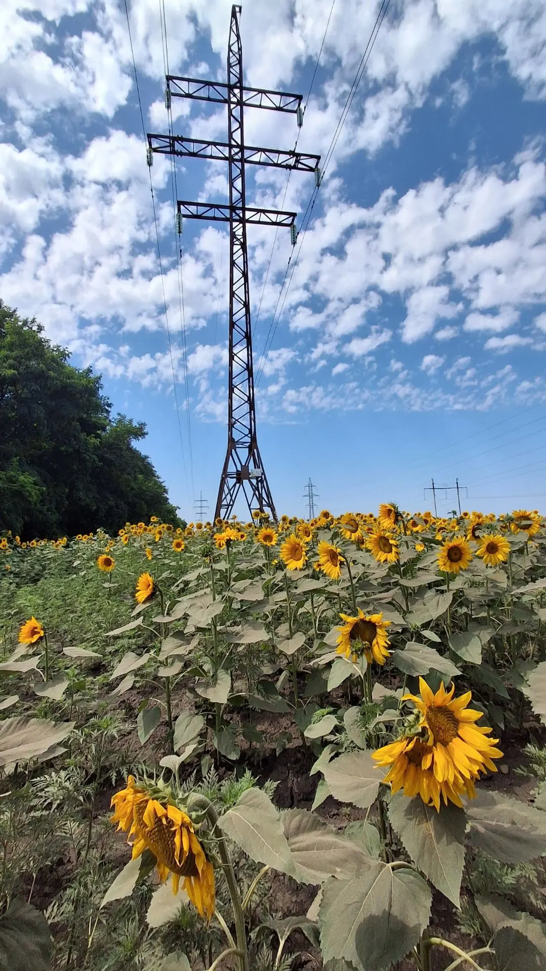 ☀️ Доброе утро, город! 

Сегодня в городе немного прохладнее, чем вчера. Малооблачно, температура во