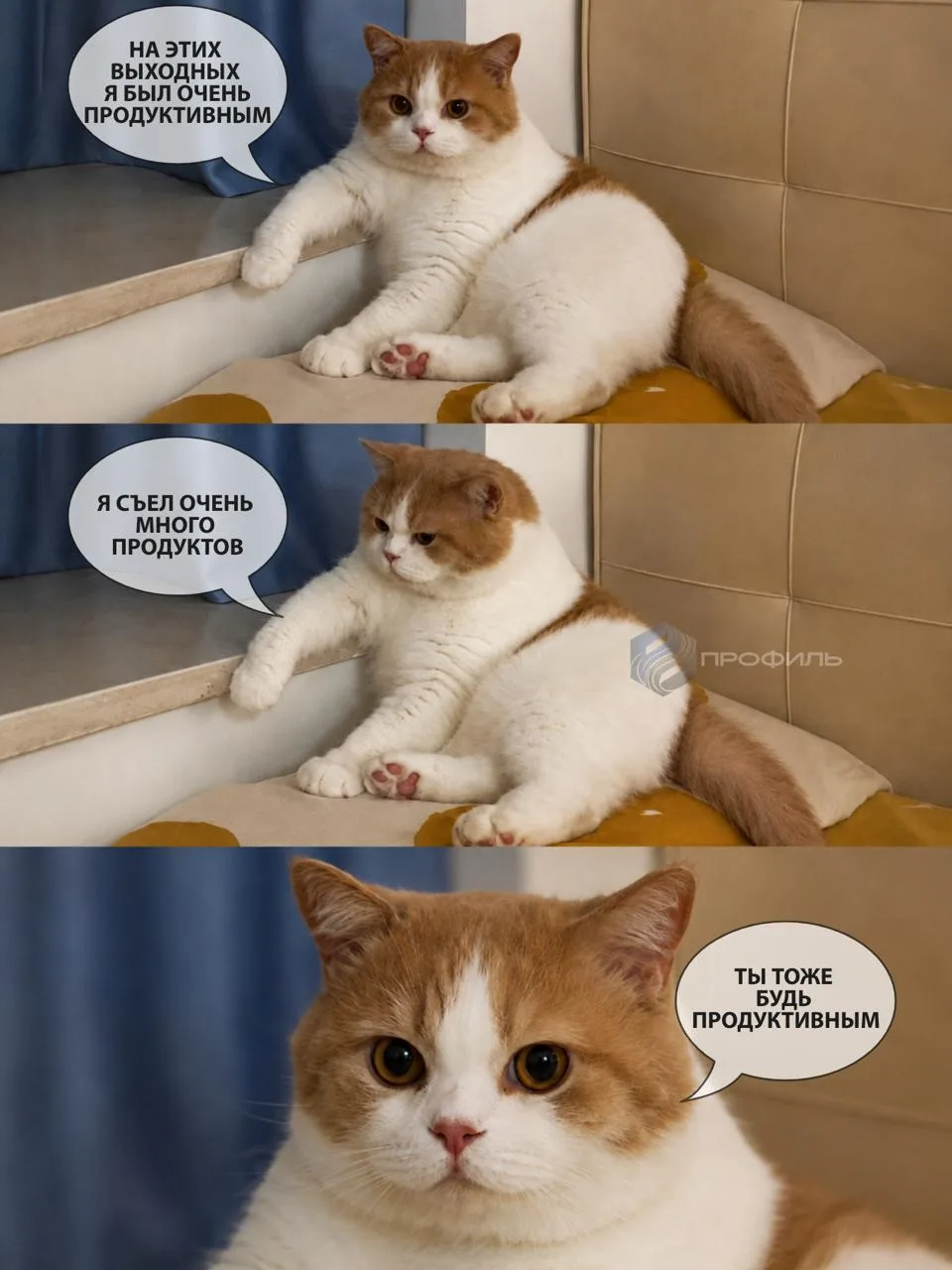Пусть эта неделя будет продуктивной во всех смыслах этого слова😁🤝