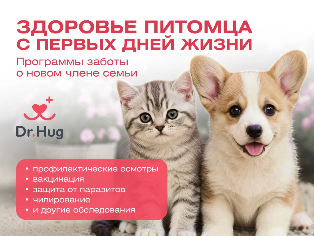 🐾 Программы «Здоровье с первых дней жизни» в Dr.Hug!