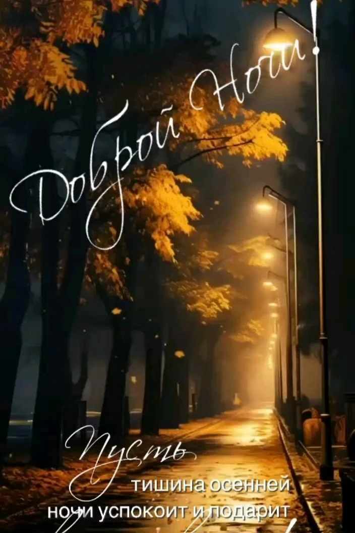 Добрых снов!