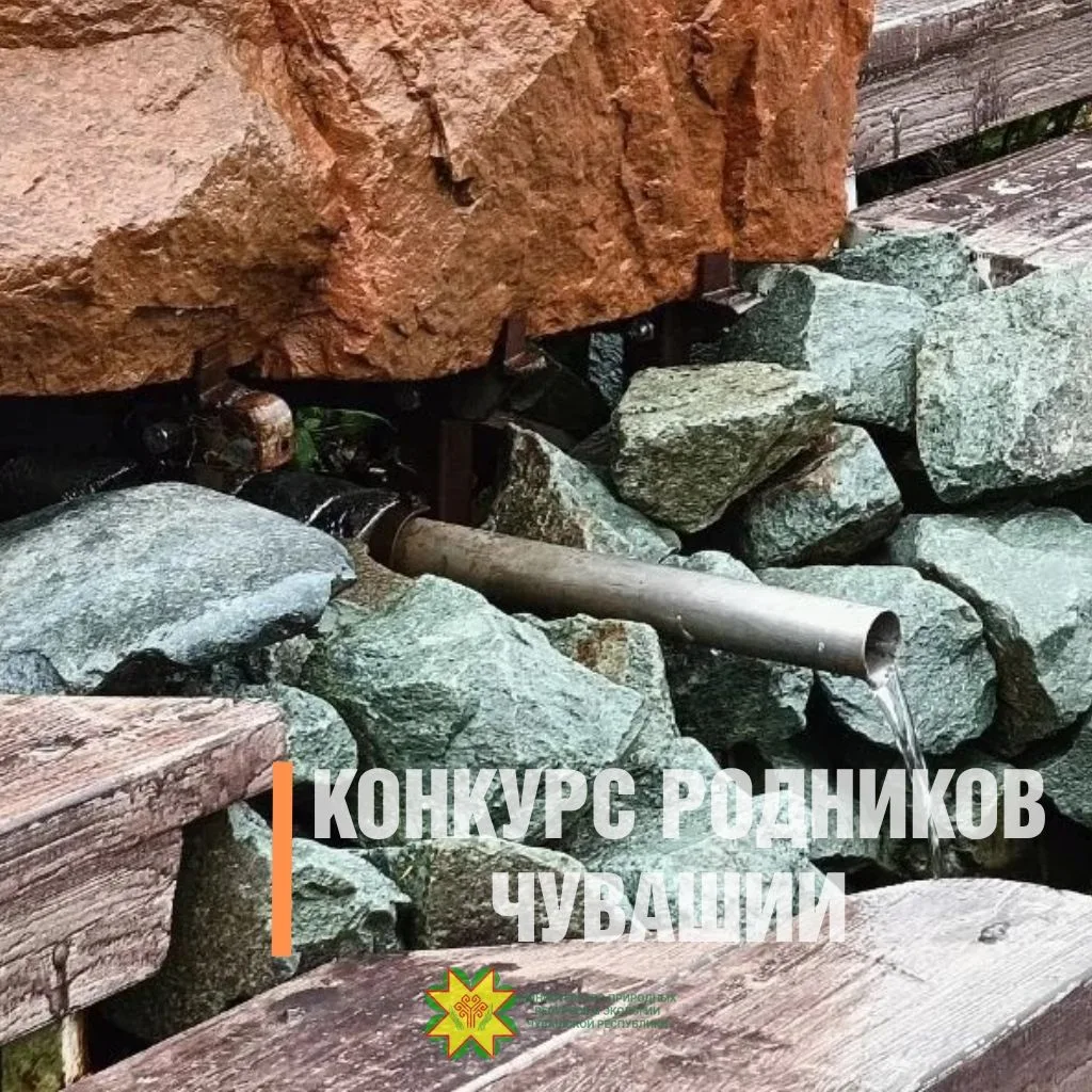 ⏳Успейте до 1 ноября! В Чувашии завершается прием заявок на III конкурс «Родники Единст...