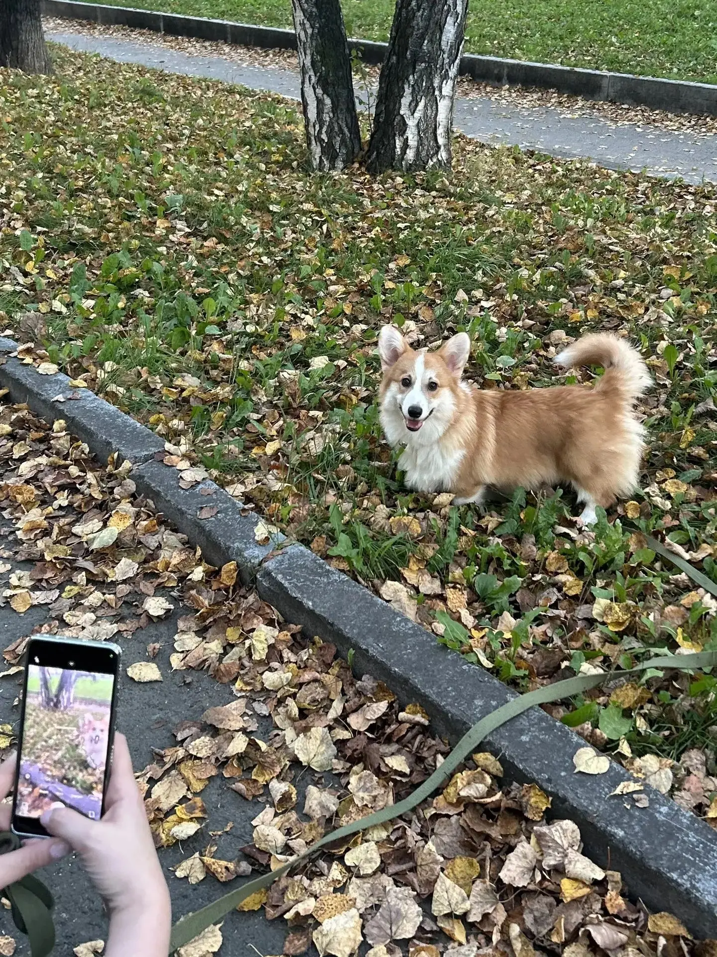 Последние теплые деньки