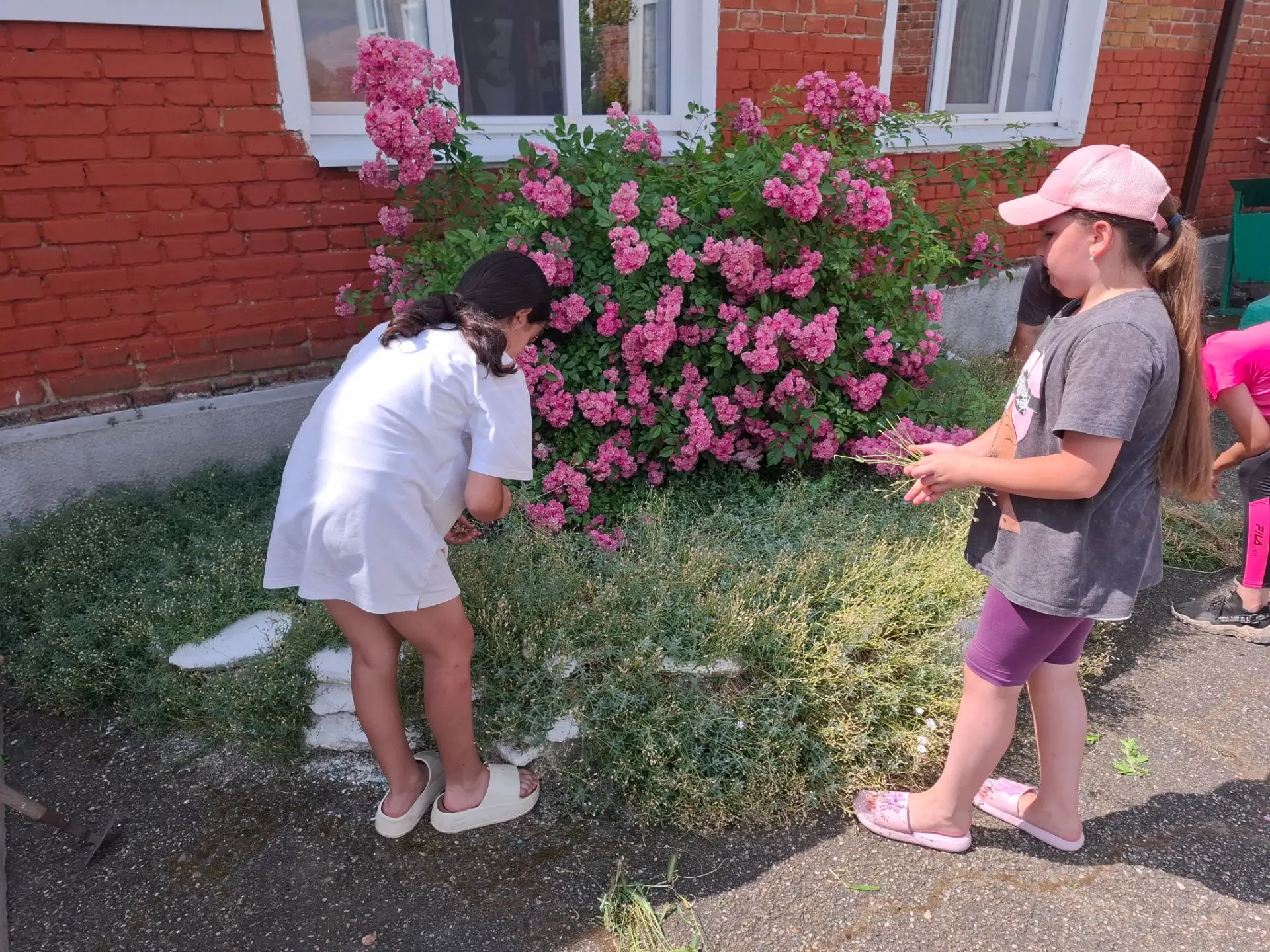 ✨️Лето — это не только отдых, но и время для полезных дел! ☀️ В нашей школе полным ходом идет летняя