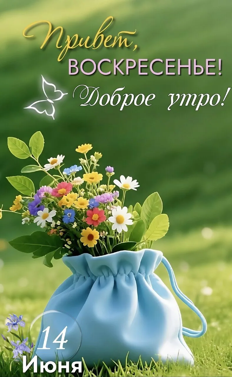 Пересылай пост своим близким, ставь реакции и высказывайся! Спасибо тебе за подписку 🫶

🇷🇺 ПОДПИШ