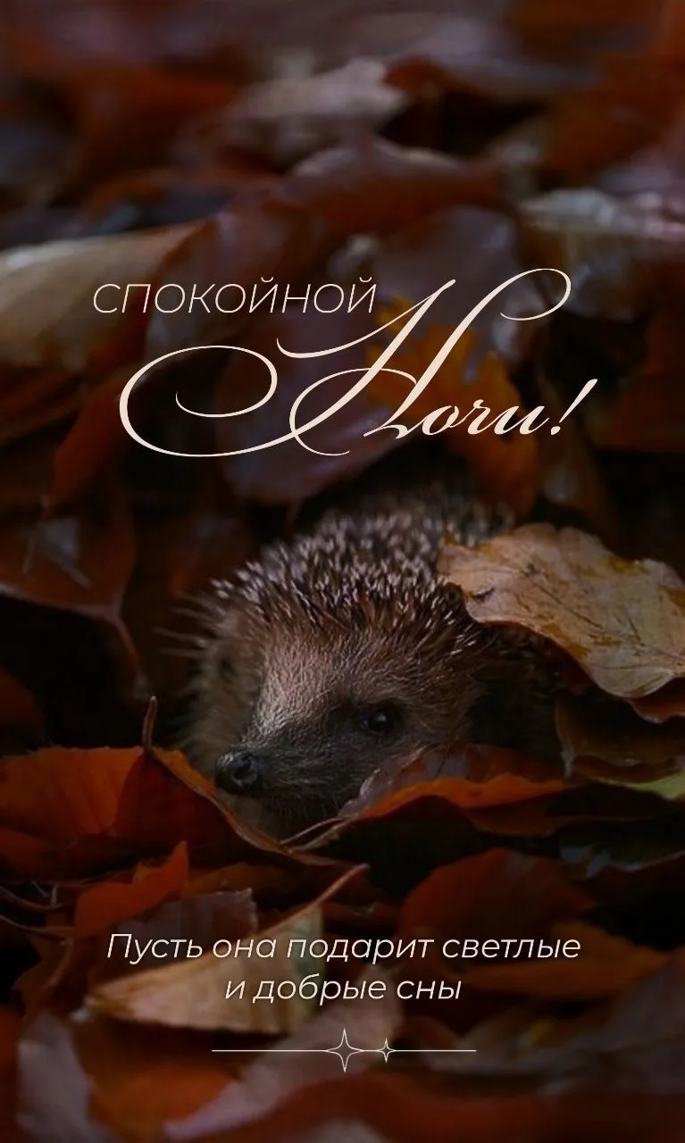 Подписаться✅