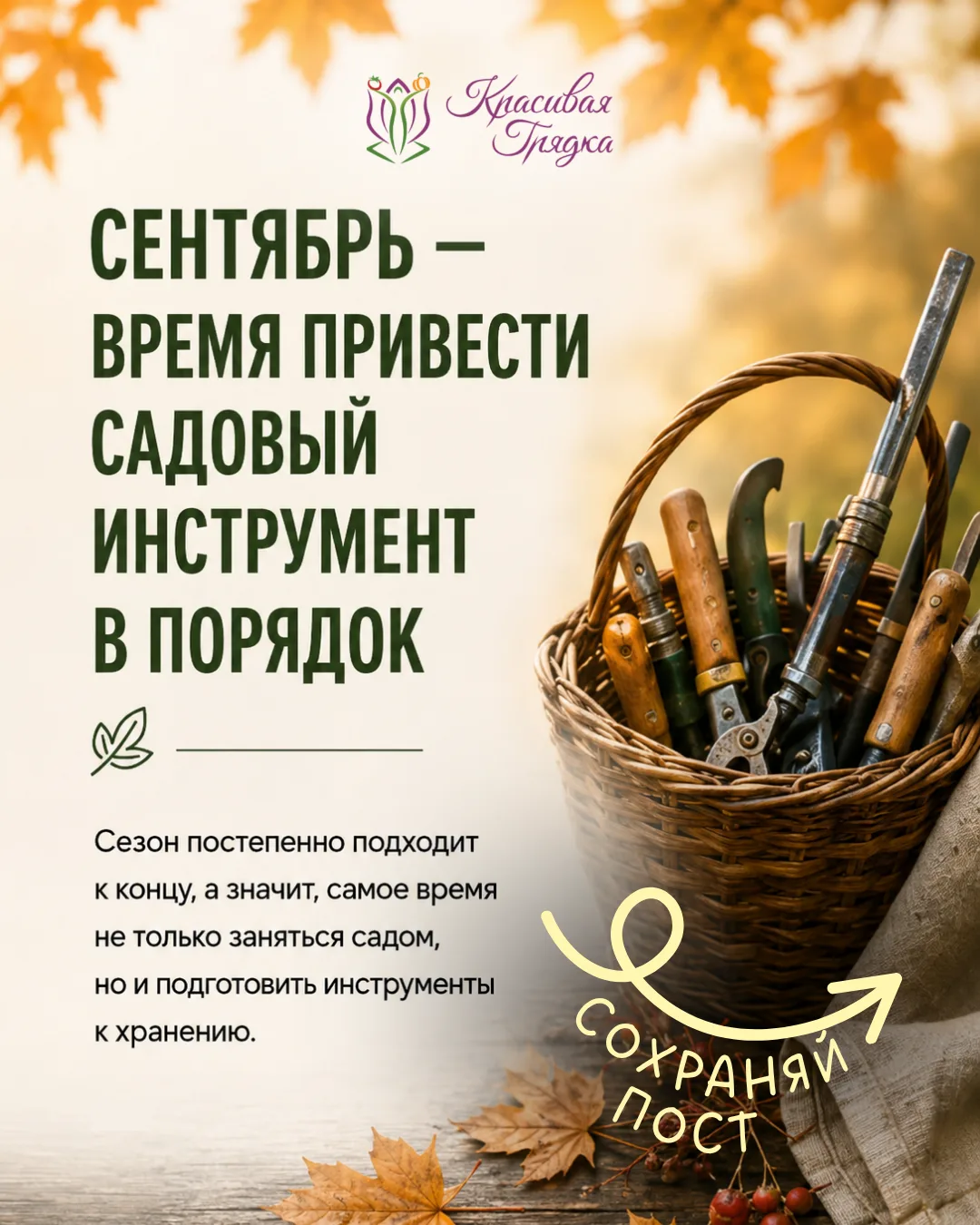🍂 Сентябрь — время привести садовый инструмент в порядок