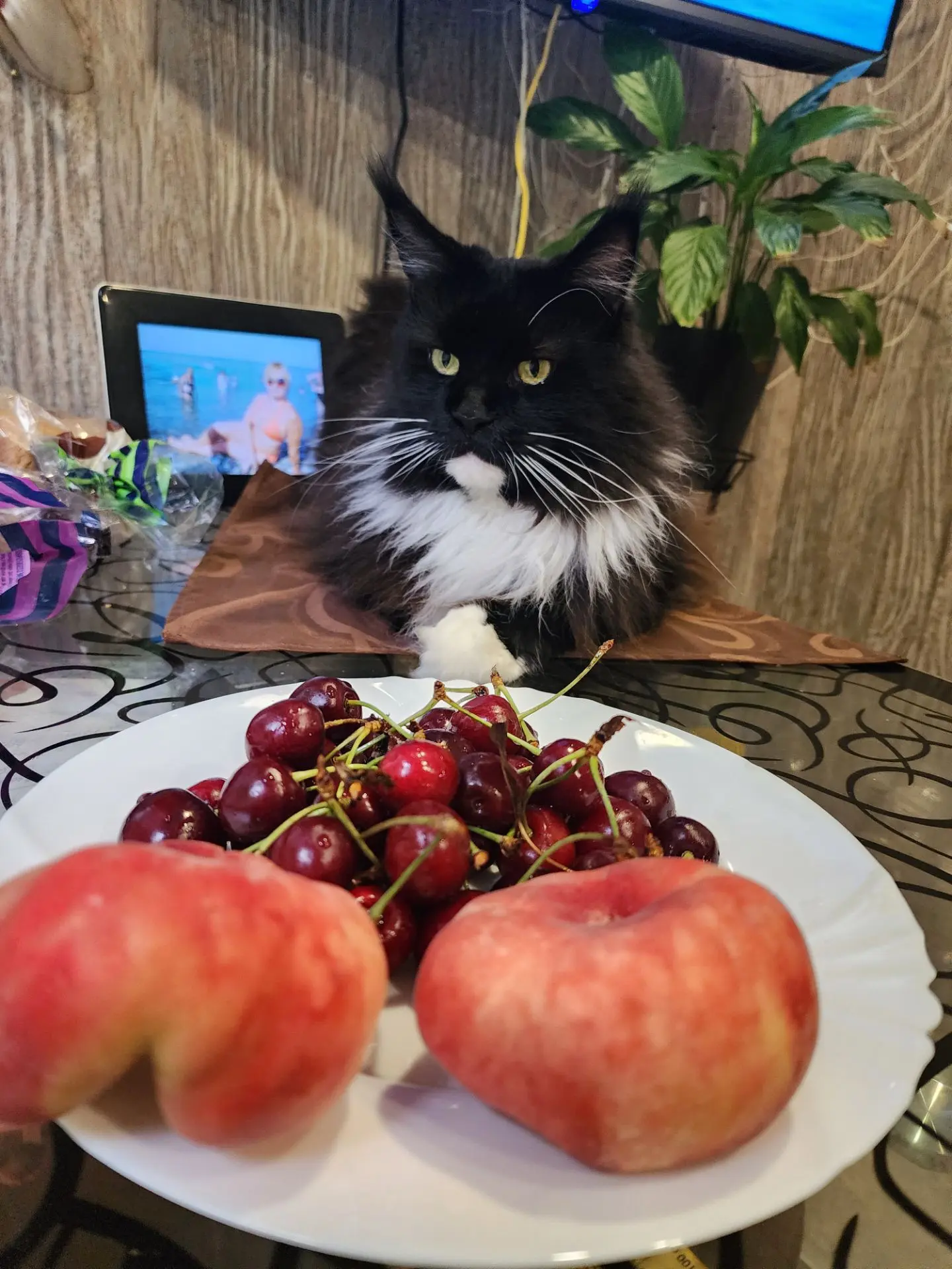 Еда, оплаченная не Вами..
Не имеет калорий 🤟