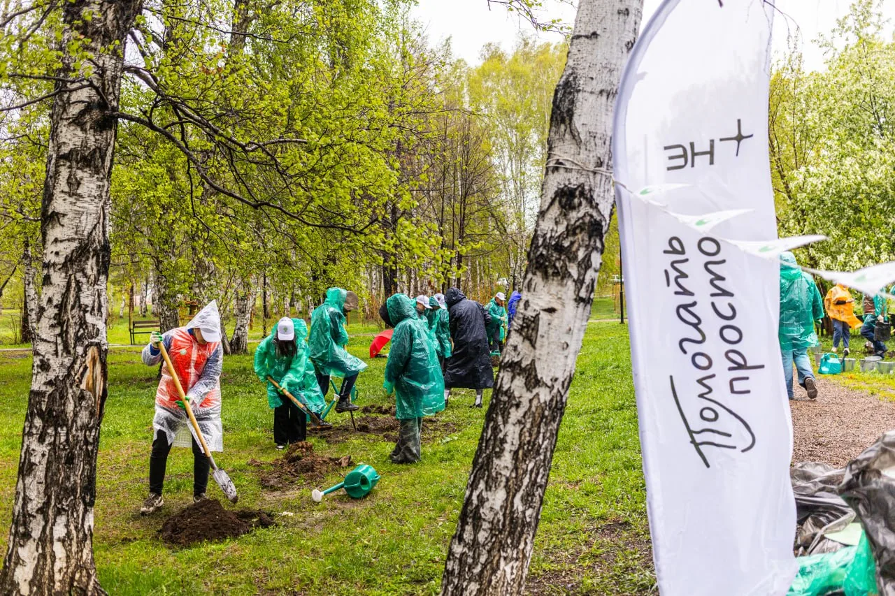 В этом году наши сирени венгерские из питомника добавили эстетическую ценность в парк с...