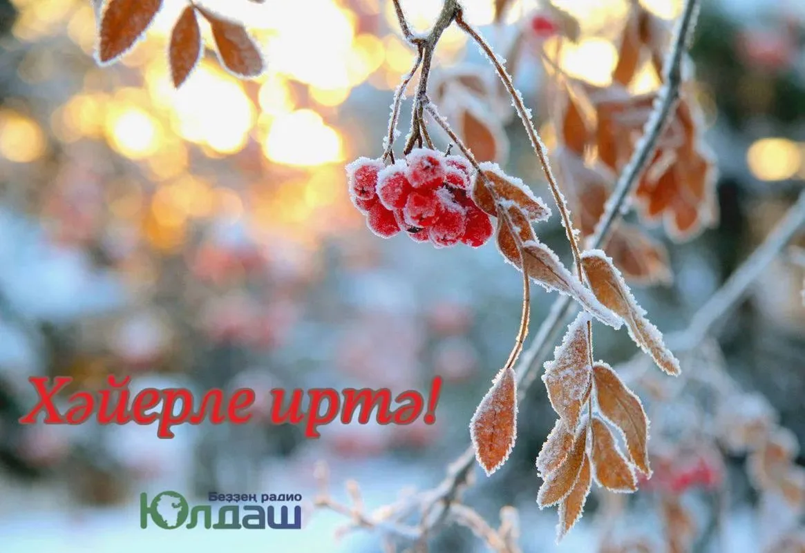 Һаумы, яңы көн!